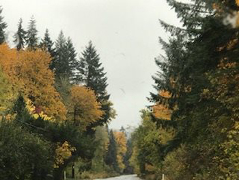 22549767_1950983121#5290B81