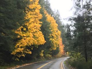 22549835_1950981988#5290B80