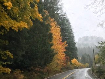 22552637_1950982821#5290B9E