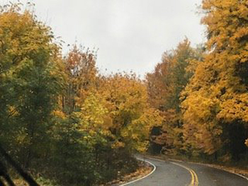 22552722_1950981261#5290BAA