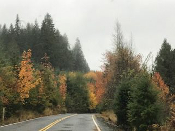 22728644_1950982145#5290BCC