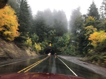 22728798_1950982598#5290BCA